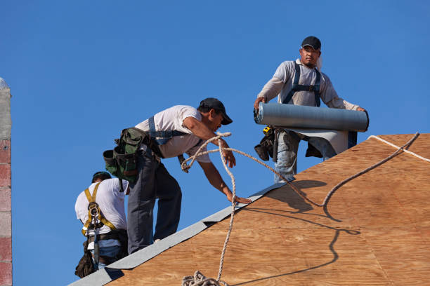 Best Roof Waterproofing Services  in Hornell, NY